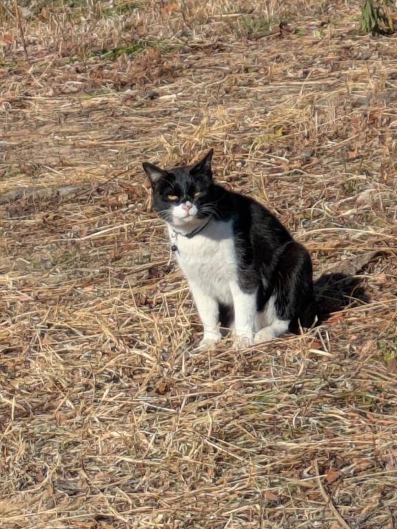 綾波玲子【PICKUP】