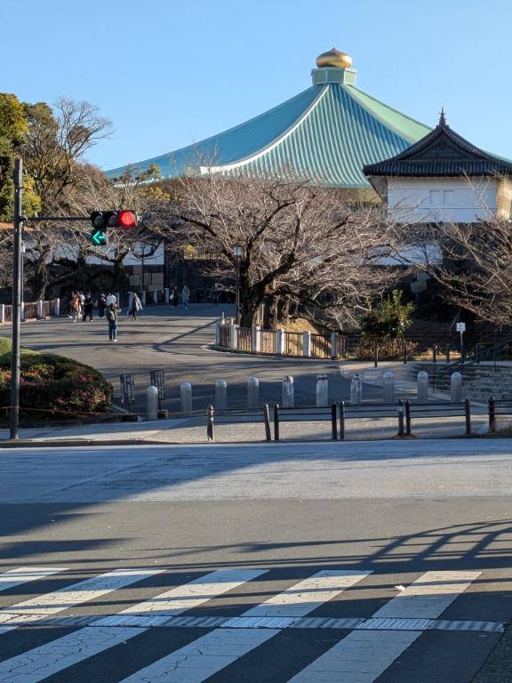 綾波玲子【PICKUP】