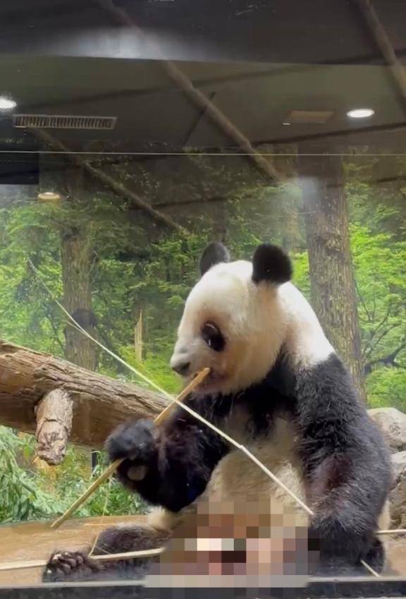 井川さつき【PICKUP】