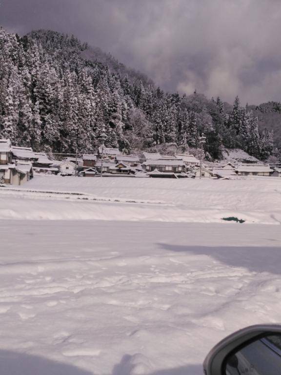 綾波玲子【PICKUP】