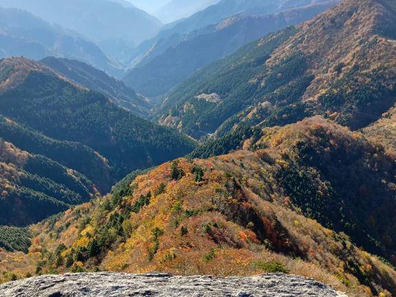 前原くみ【PICKUP】