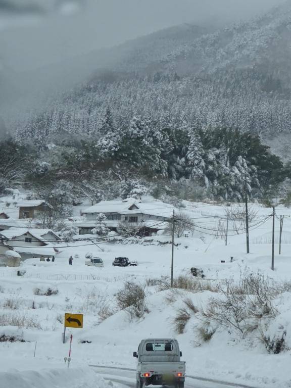 綾波玲子【PICKUP】