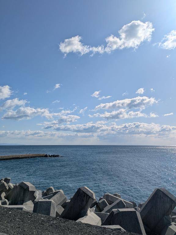 綾波玲子【PICKUP】