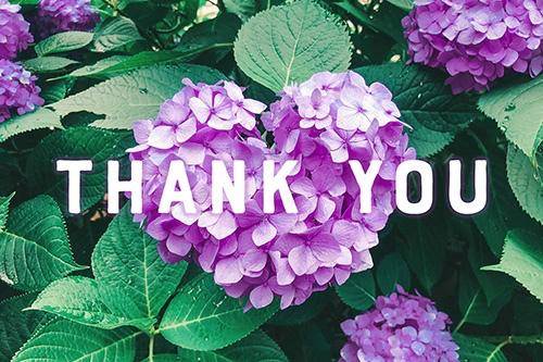 白井りこ【PICKUP】