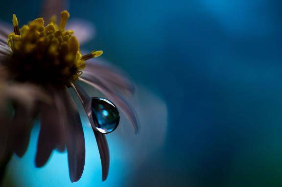 さやか【PREMIUM】