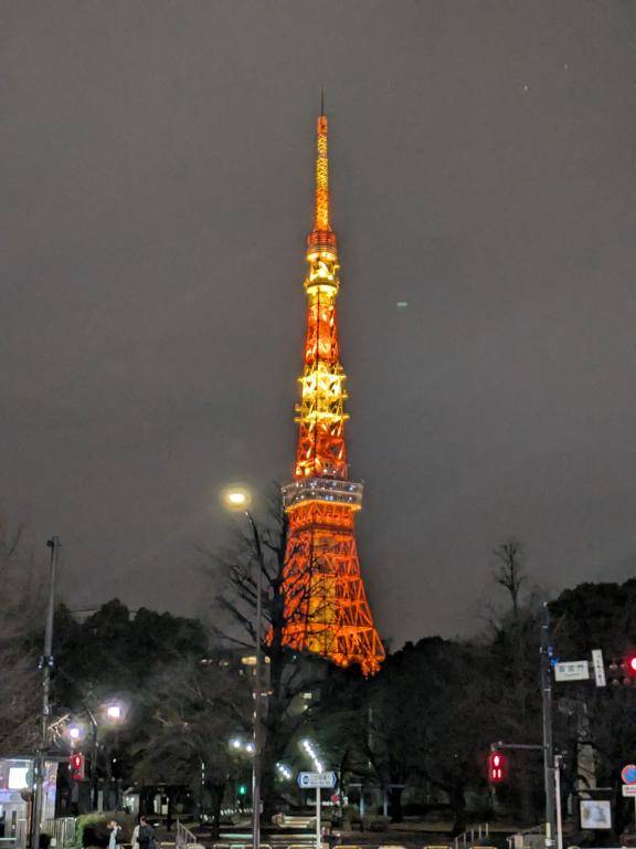 綾波玲子【PICKUP】