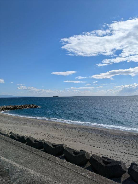 綾波玲子【PICKUP】