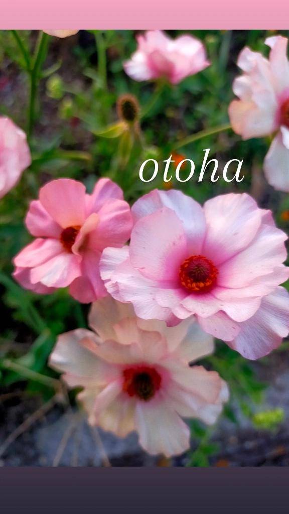 ☆仲良しリピ様へ☆