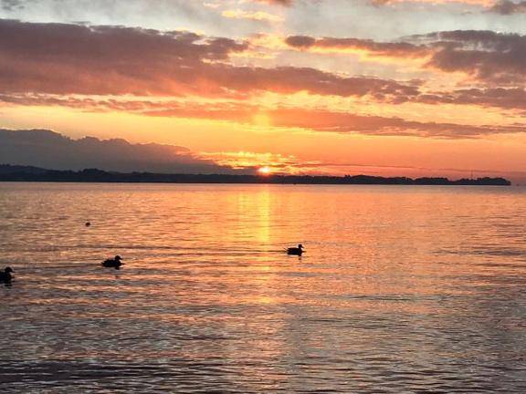 さやか【PREMIUM】