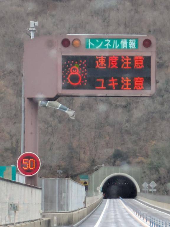 綾波玲子【PICKUP】