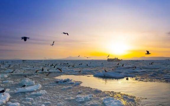 さやか【PREMIUM】