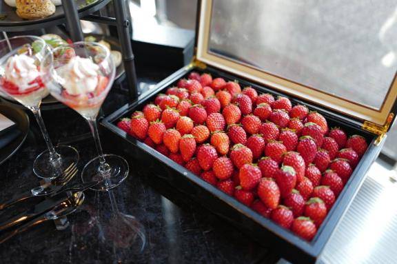 つばき【PREMIUM】