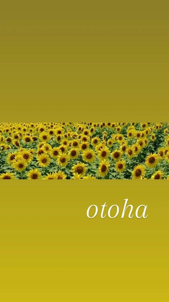 おとは【CHUBBY】