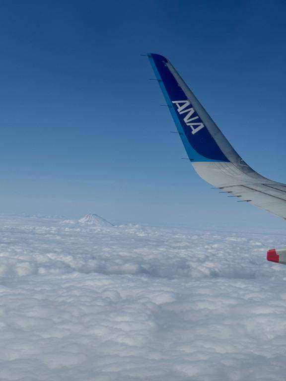 井川さつき【PICKUP】