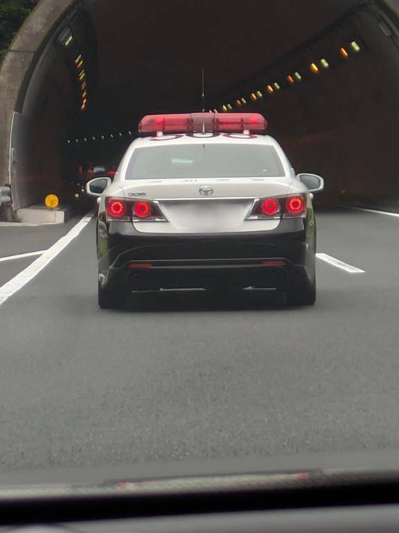 綾波玲子【PICKUP】