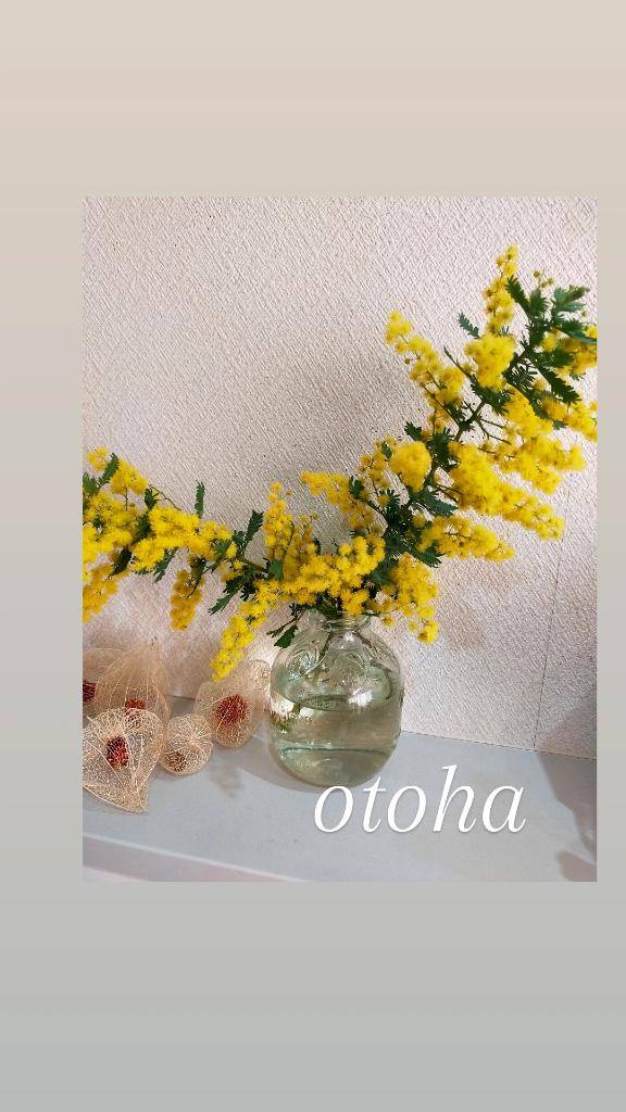 おとは【CHUBBY】