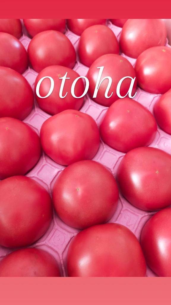 おとは【CHUBBY】