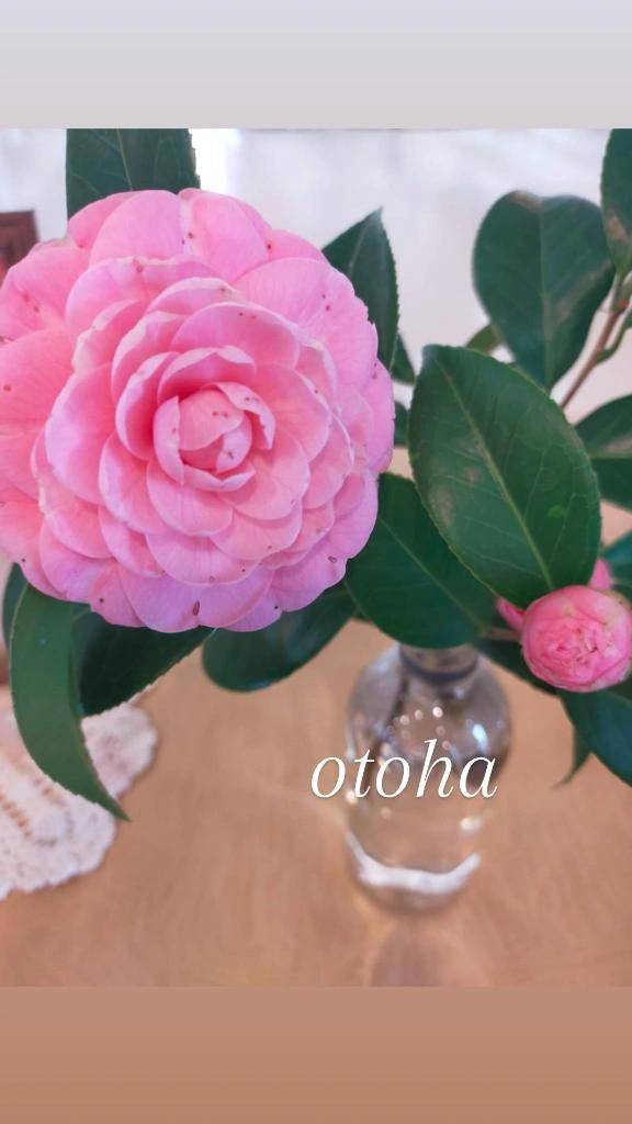 おとは【CHUBBY】