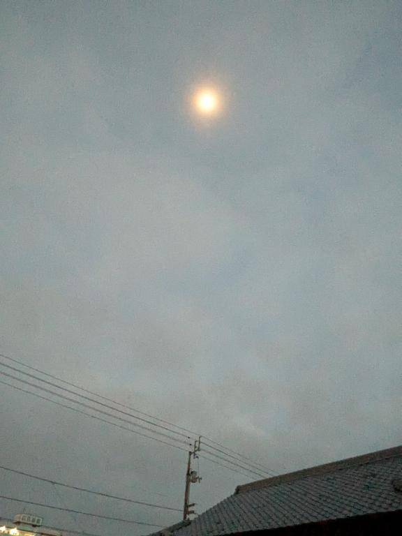 綾波玲子【PICKUP】