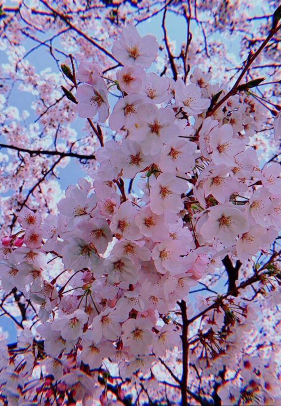 みなも【CHUBBY】