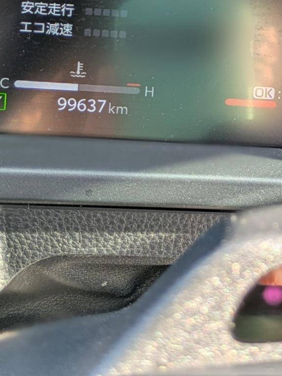 綾波玲子【PICKUP】