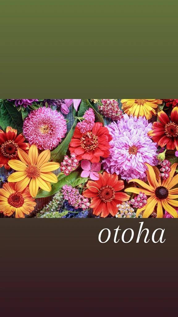 おとは【CHUBBY】