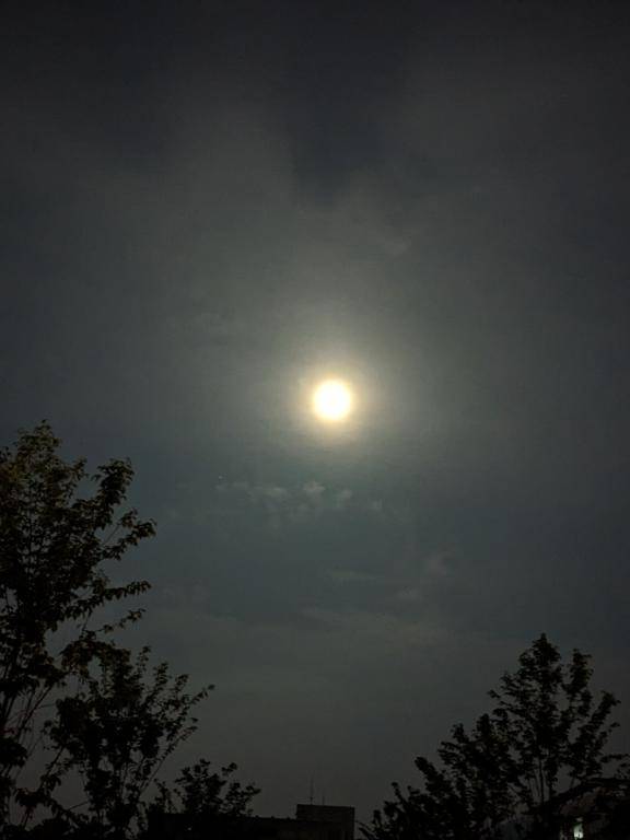 綾波玲子【PICKUP】