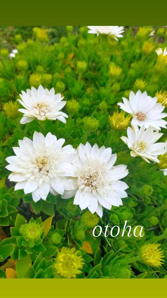 ?今日もご予約ありがとう?