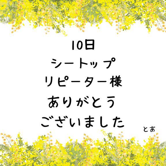 10日 シートップ リピーター様
