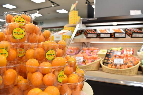 さやか【PREMIUM】