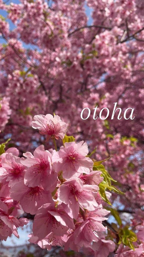 ☆仲良しのリピ様へ☆