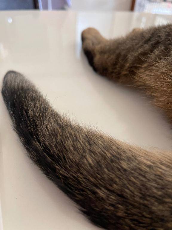 [お題]from:ディマンシェさん