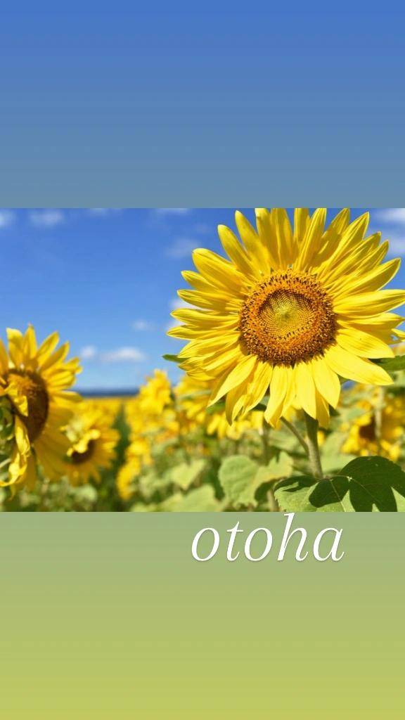 おとは【CHUBBY】