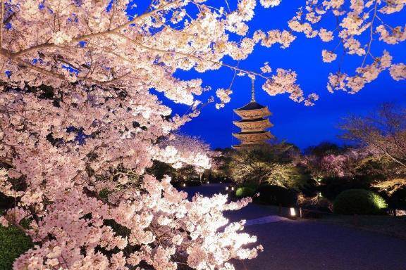 さやか【PREMIUM】