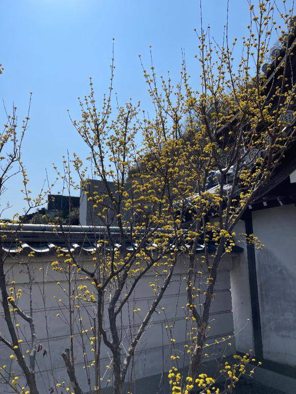 青柳れお【WOMAN】