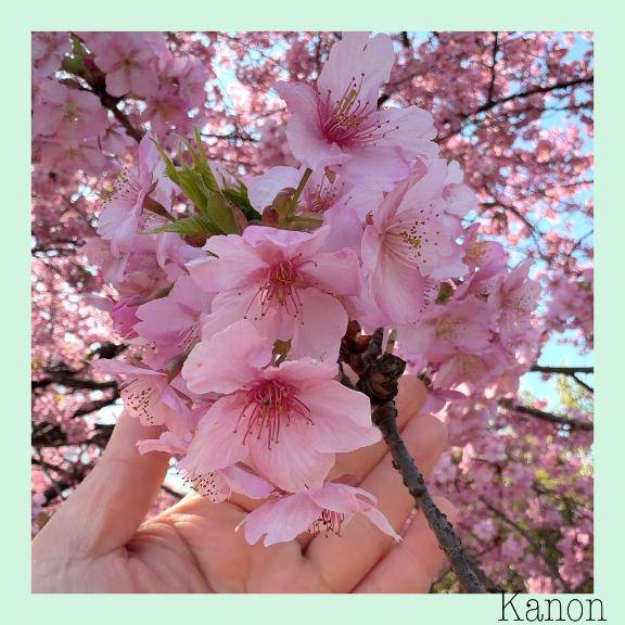 かのん【CHUBBY】