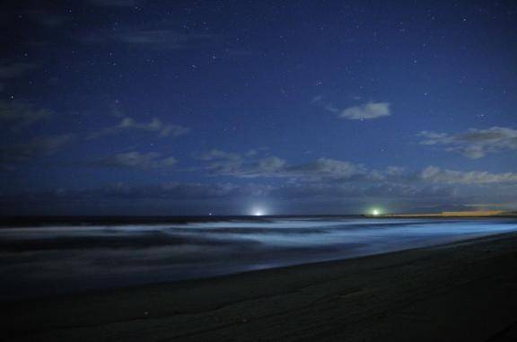 さやか【PREMIUM】