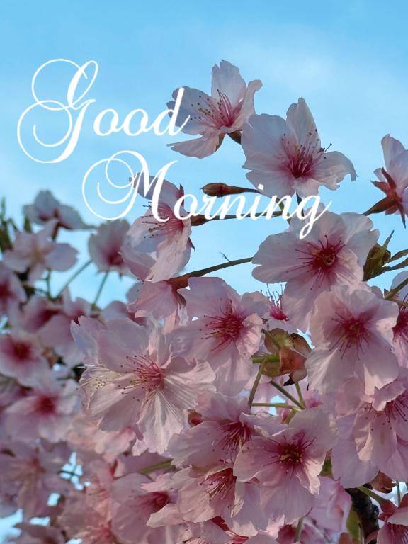 安西みなみ【PICKUP】