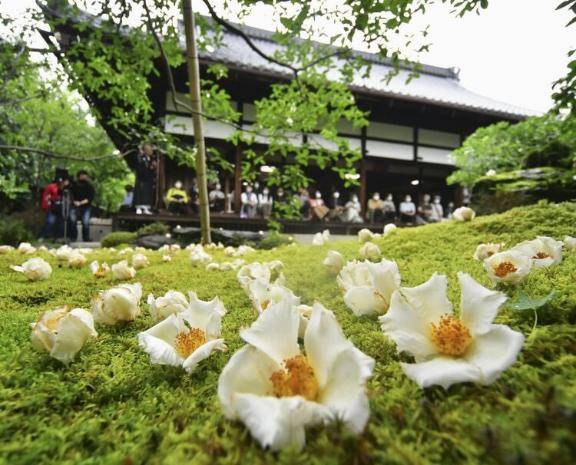 さやか【PREMIUM】