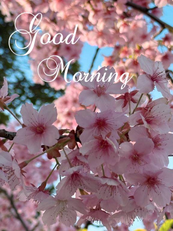 安西みなみ【PICKUP】