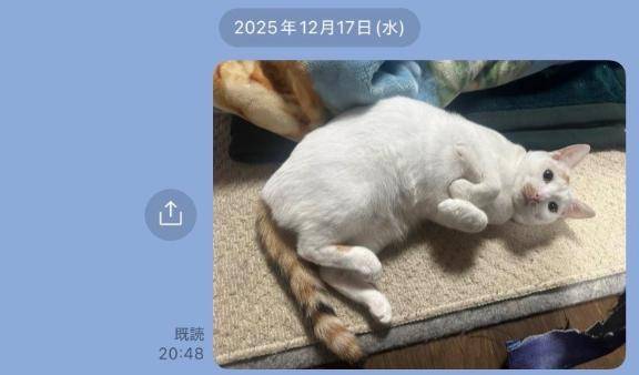 みかこ【PICKUP】