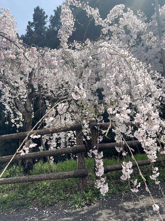 内田ゆう【WOMAN】