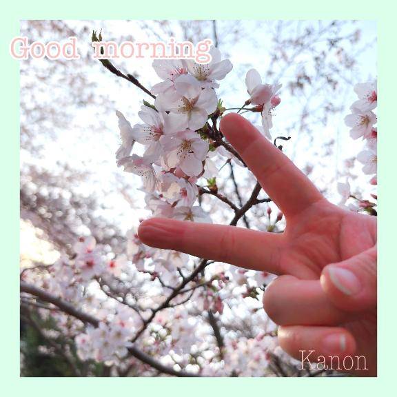 かのん【CHUBBY】