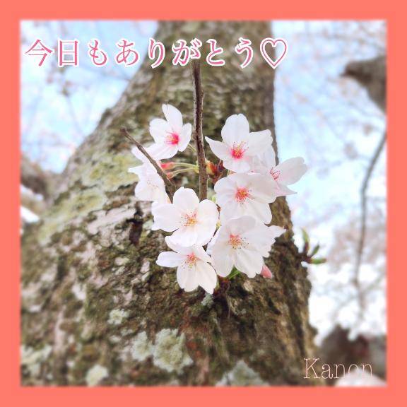 かのん【CHUBBY】