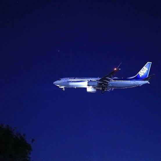 さやか【PREMIUM】