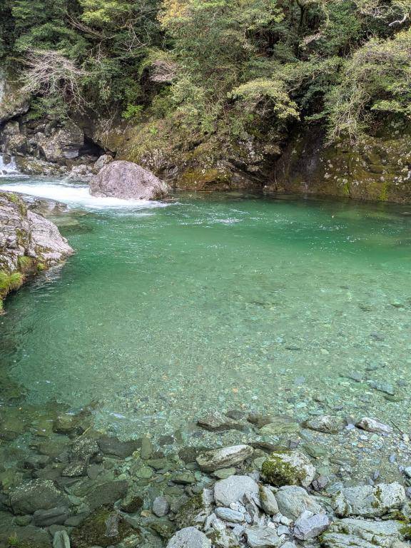 綾波玲子【PICKUP】