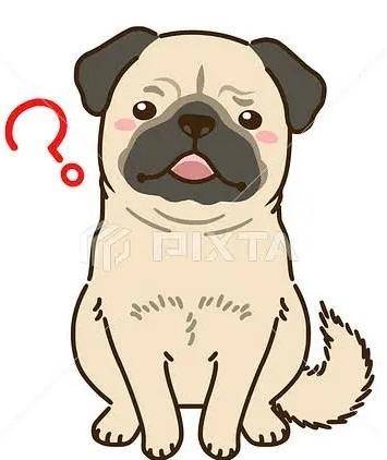 すずか【PICKUP】