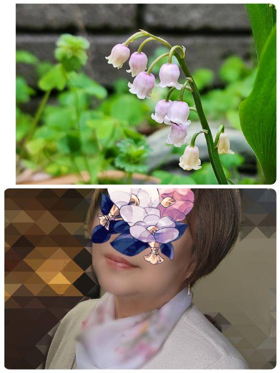 日向京子【WOMAN】