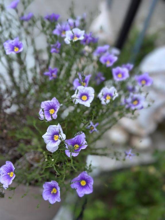 内田ゆう【WOMAN】