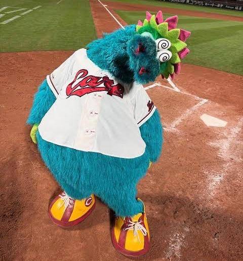 さやか【PREMIUM】